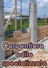 carpentiere-edile-specializzato
